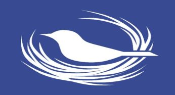 دانلود وی پی ان سریع بدون قطع و وصلی Nest VPN