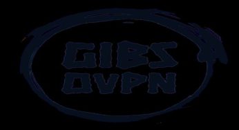 دانلود فیلتر شکن کاملا رایگان GIBS OVPN با لینک مستقیم