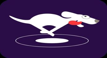 دریافت بهترین وی پی ان فعال دائمی آندروید Dog VPN